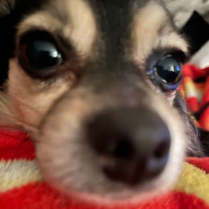 Meet your Posher, Derek